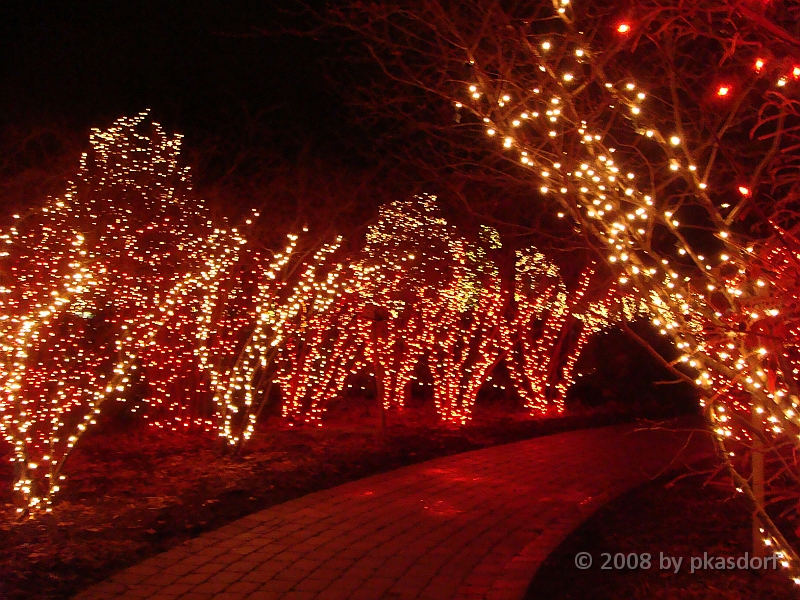 037 Toledo Zoo Light Show [2008 Dec 27].JPG - Scenes from the Toledo Zoo Light Show.